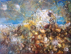 SEASHELLS